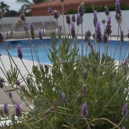 Villa Marti Calpe Bagian luar foto