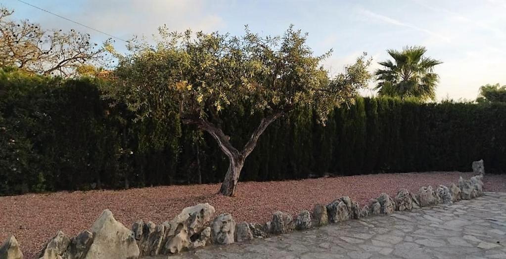 Villa Marti Calpe Bagian luar foto