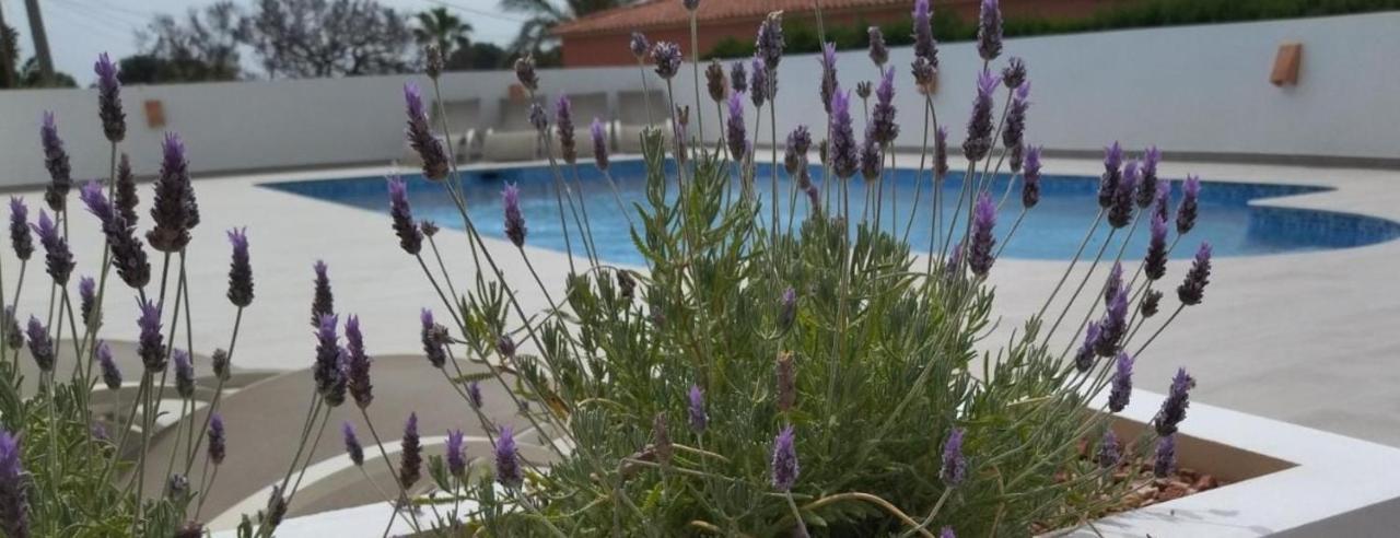 Villa Marti Calpe Bagian luar foto